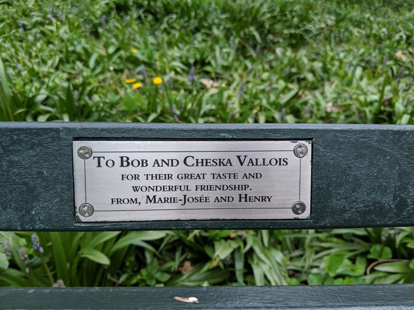 I saw this bench in Central Park