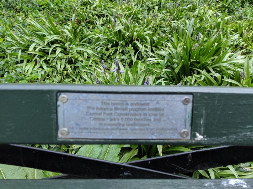 I saw this bench in Central Park