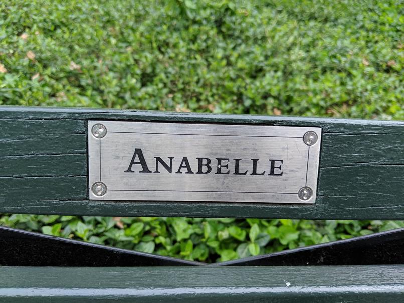 I saw this bench in Central Park