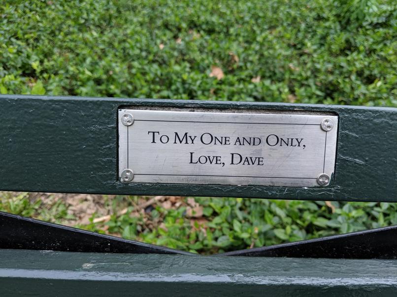 I saw this bench in Central Park