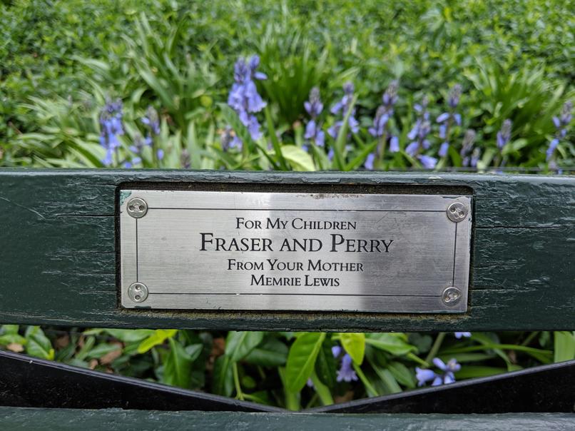 I saw this bench in Central Park