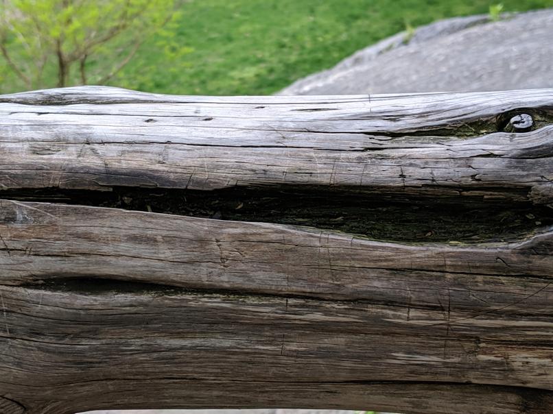 I saw this bench in Central Park