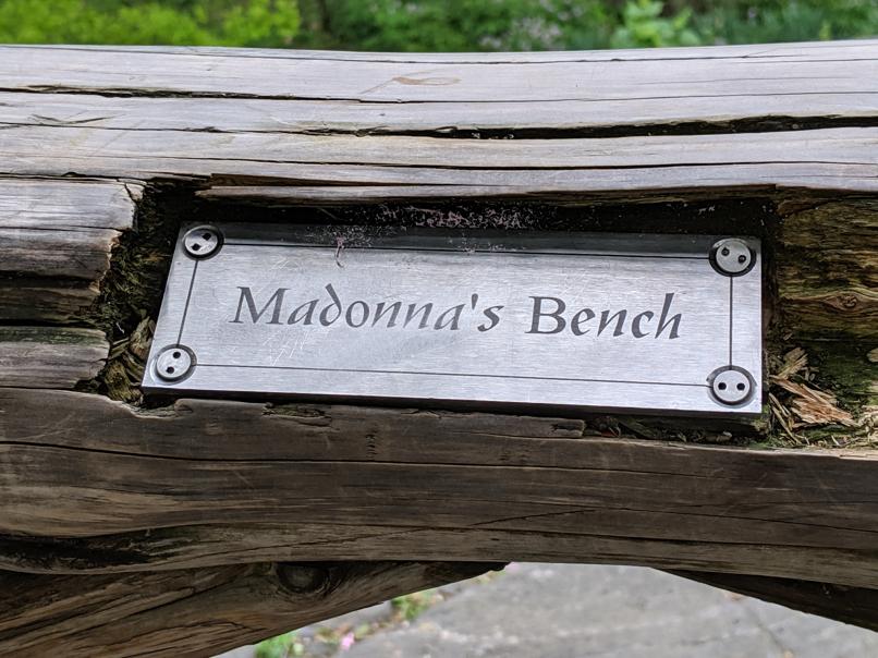 I saw this bench in Central Park