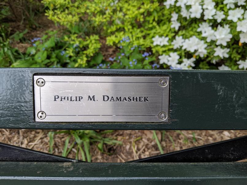 I saw this bench in Central Park