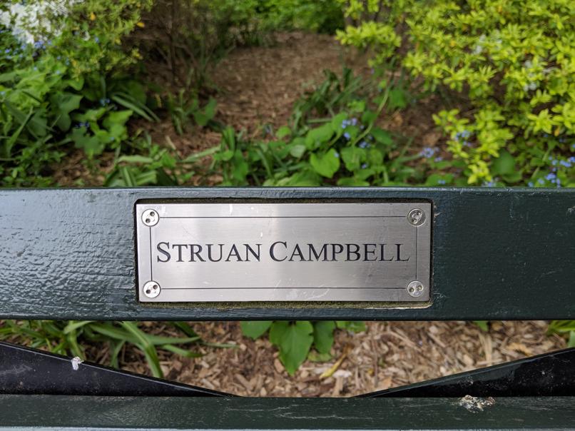 I saw this bench in Central Park