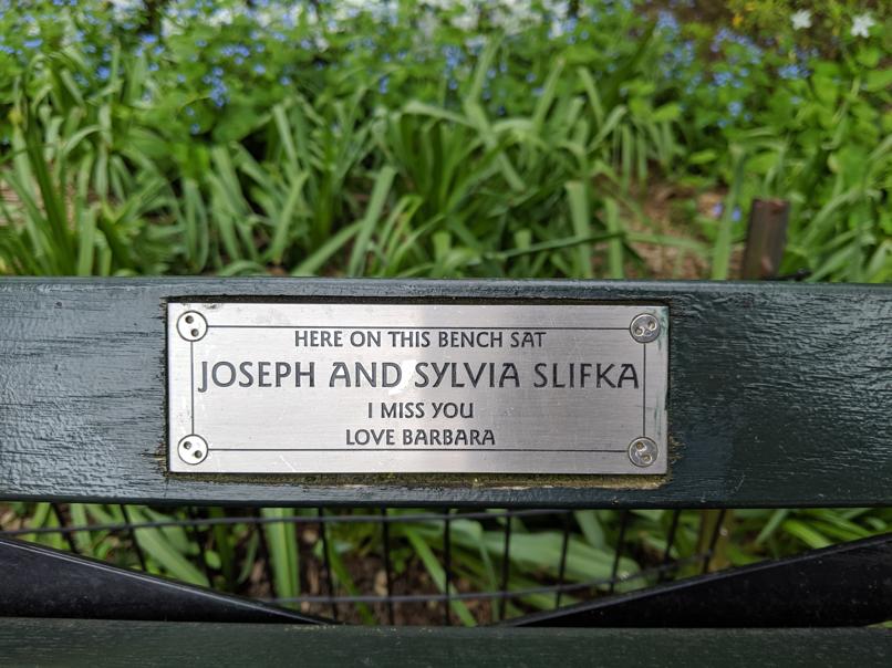 I saw this bench in Central Park