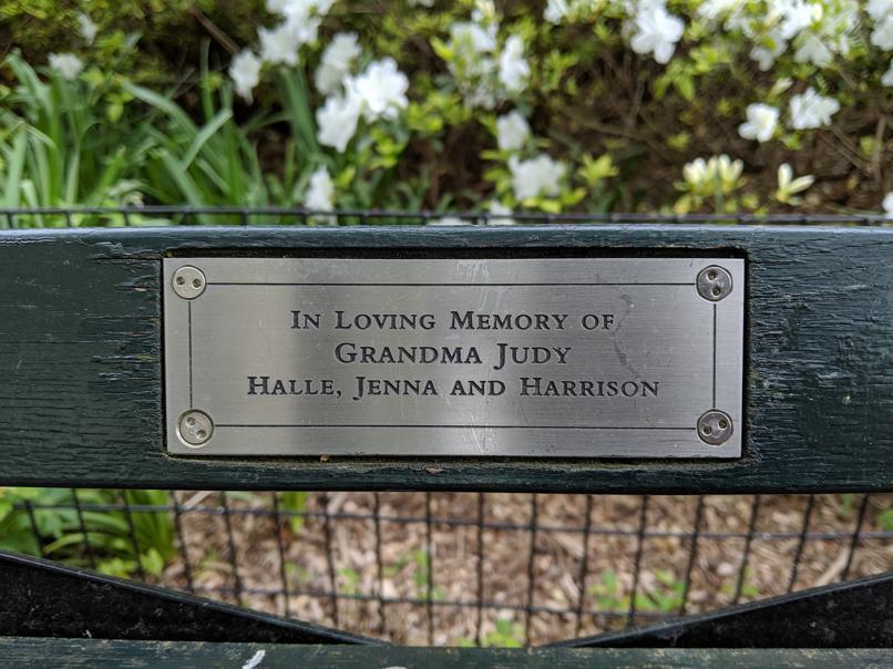 I saw this bench in Central Park