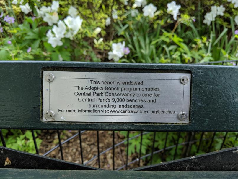 I saw this bench in Central Park