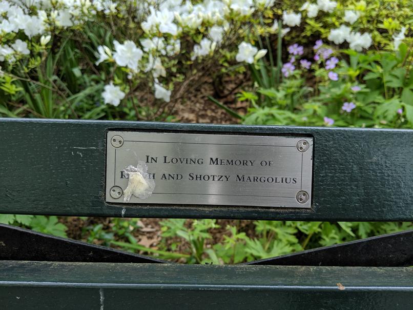 I saw this bench in Central Park