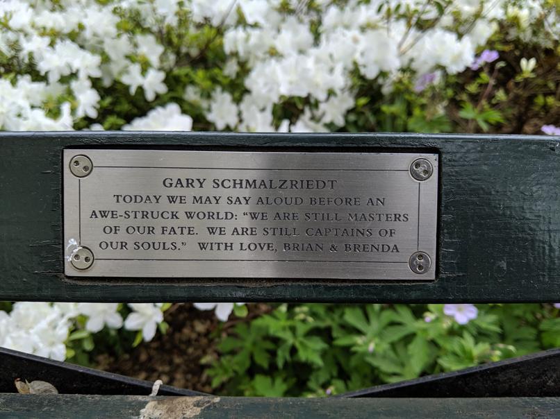 I saw this bench in Central Park