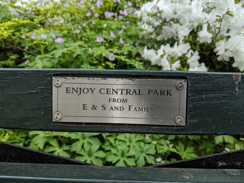 I saw this bench in Central Park