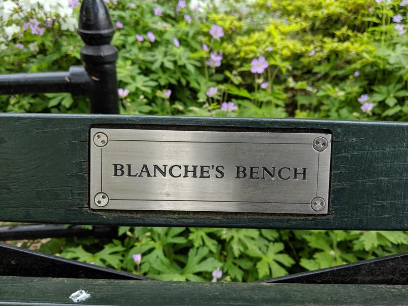 I saw this bench in Central Park