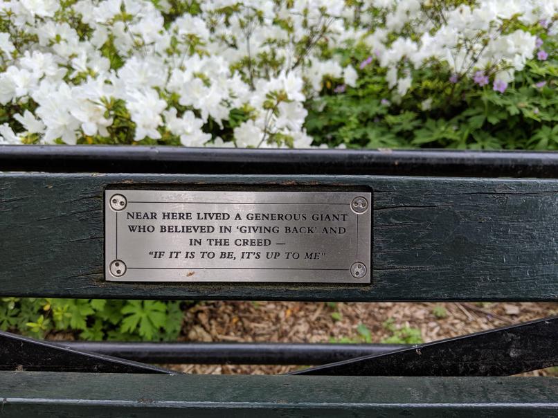 I saw this bench in Central Park