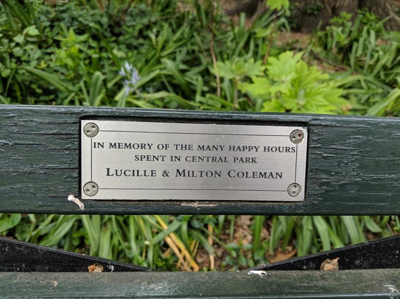 I saw this bench in Central Park