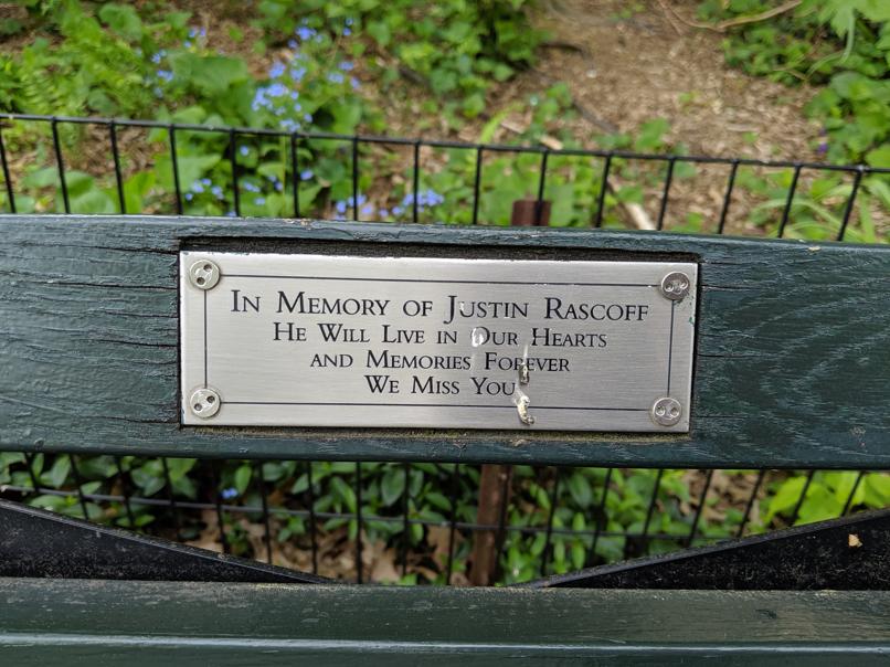 I saw this bench in Central Park