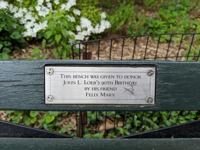 I saw this bench in Central Park