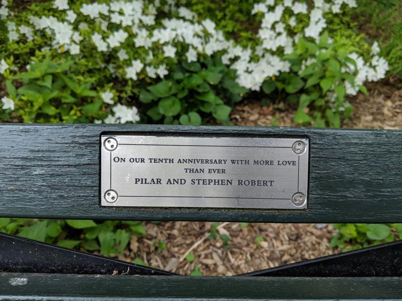 I saw this bench in Central Park