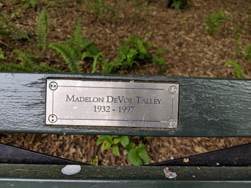 I saw this bench in Central Park