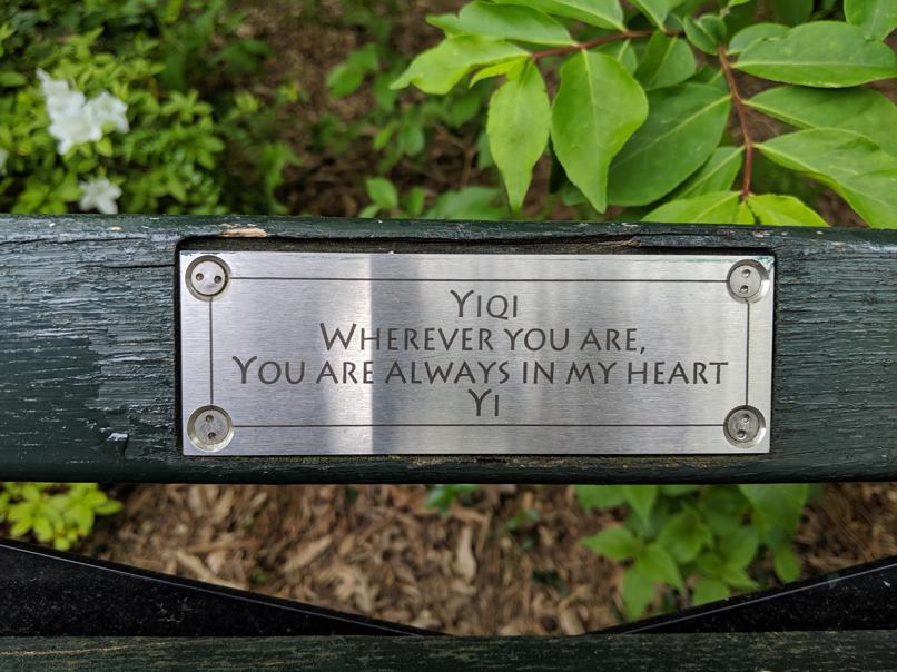 I saw this bench in Central Park