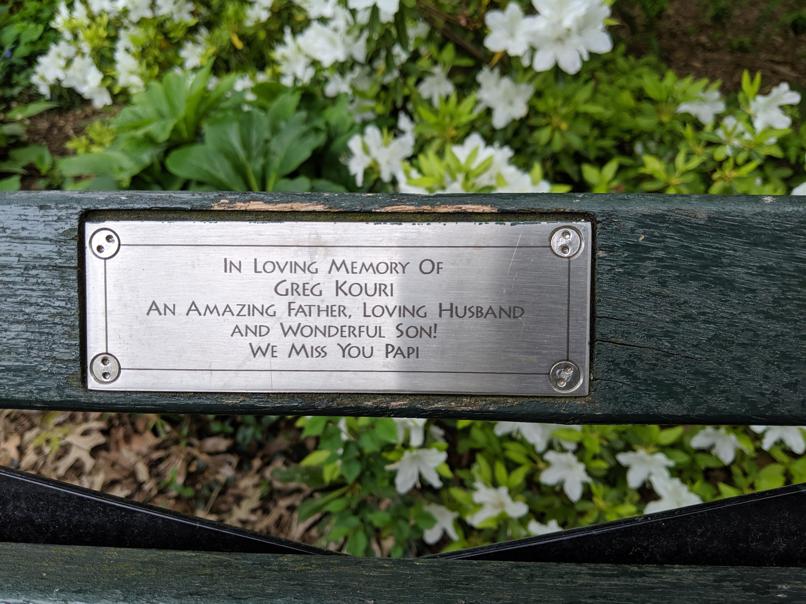 I saw this bench in Central Park