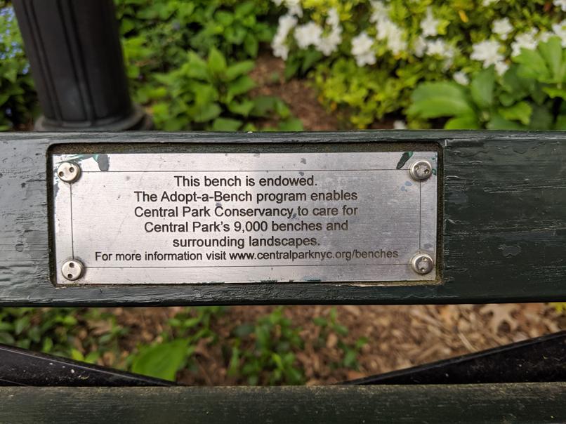 I saw this bench in Central Park