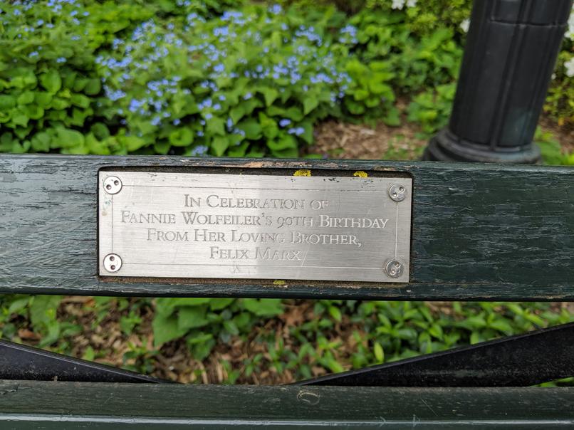 I saw this bench in Central Park