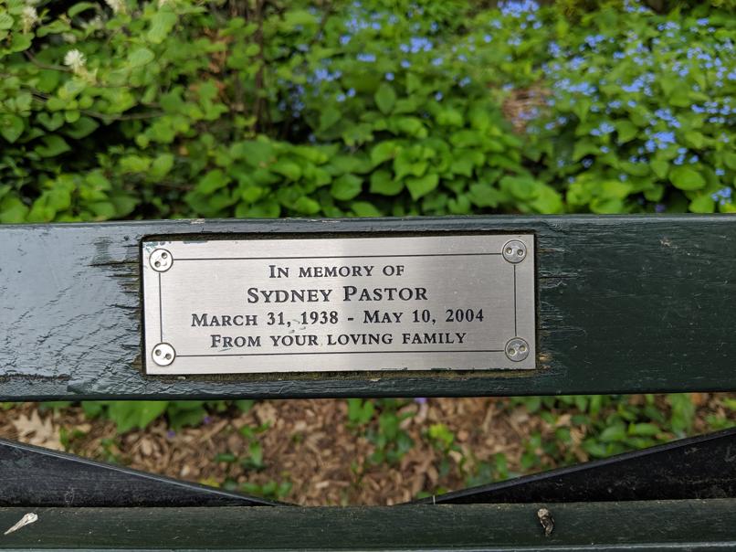 I saw this bench in Central Park