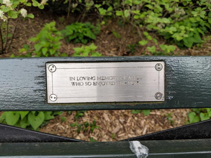 I saw this bench in Central Park