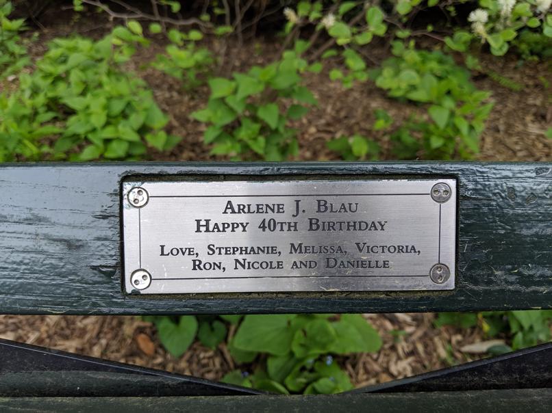 I saw this bench in Central Park