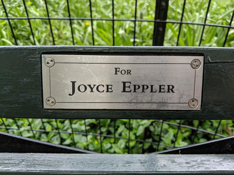 I saw this bench in Central Park