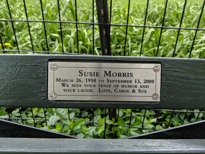 I saw this bench in Central Park