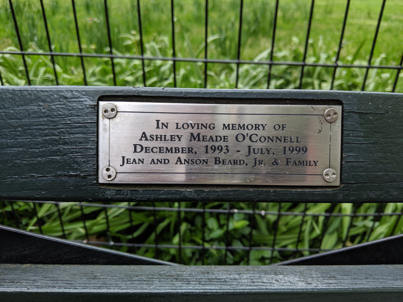 I saw this bench in Central Park