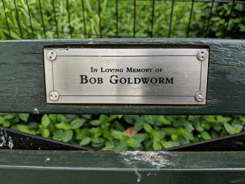 I saw this bench in Central Park