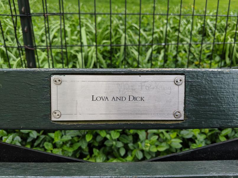 I saw this bench in Central Park