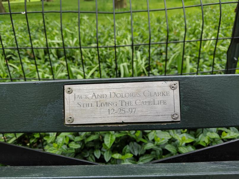 I saw this bench in Central Park