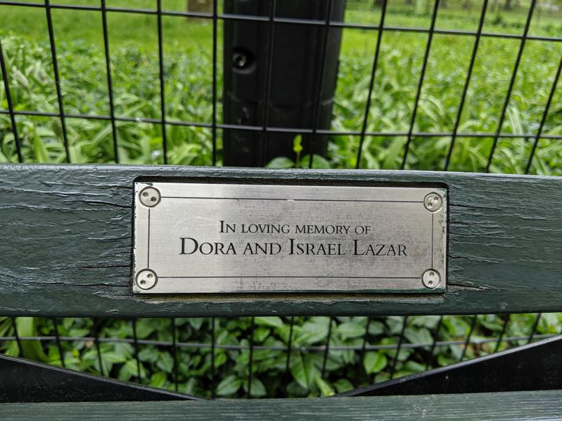 I saw this bench in Central Park