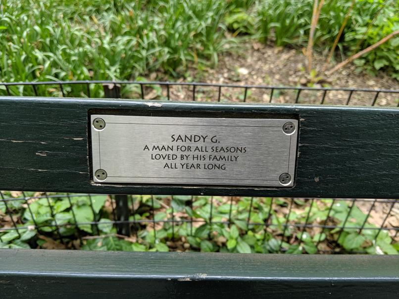 I saw this bench in Central Park