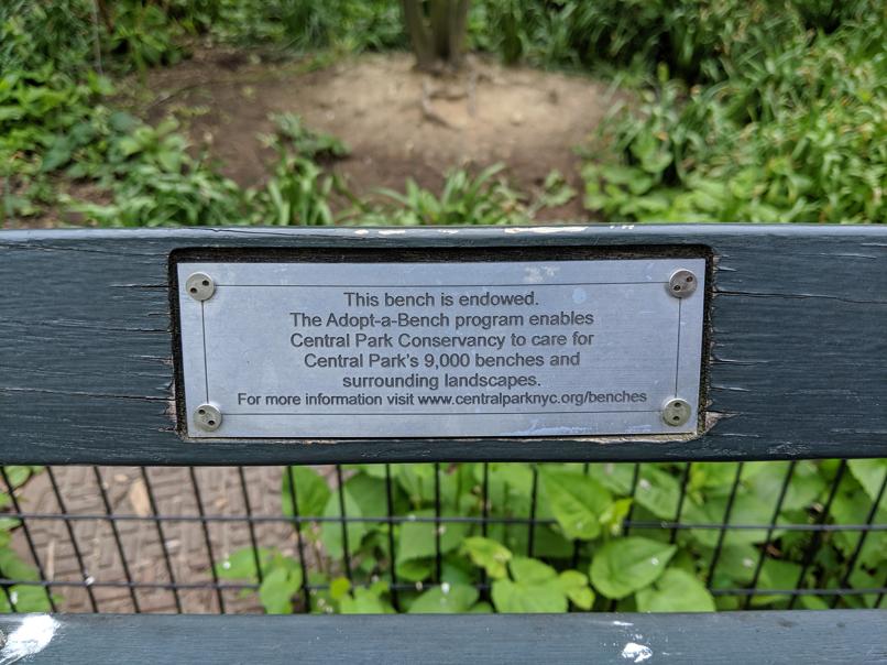 I saw this bench in Central Park