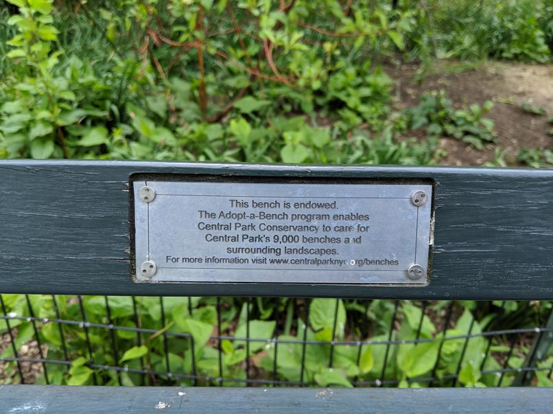 I saw this bench in Central Park