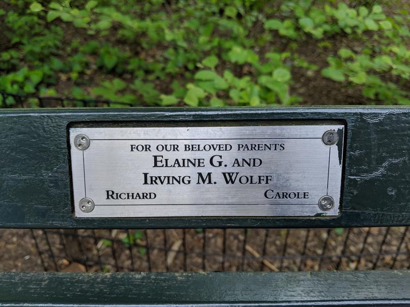 I saw this bench in Central Park