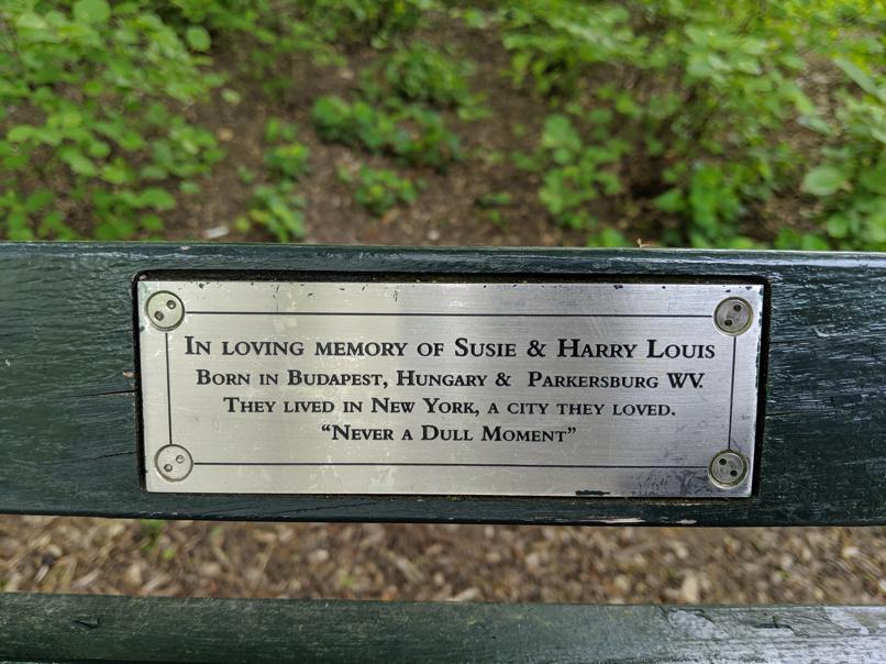 I saw this bench in Central Park