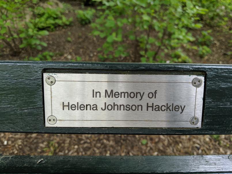 I saw this bench in Central Park