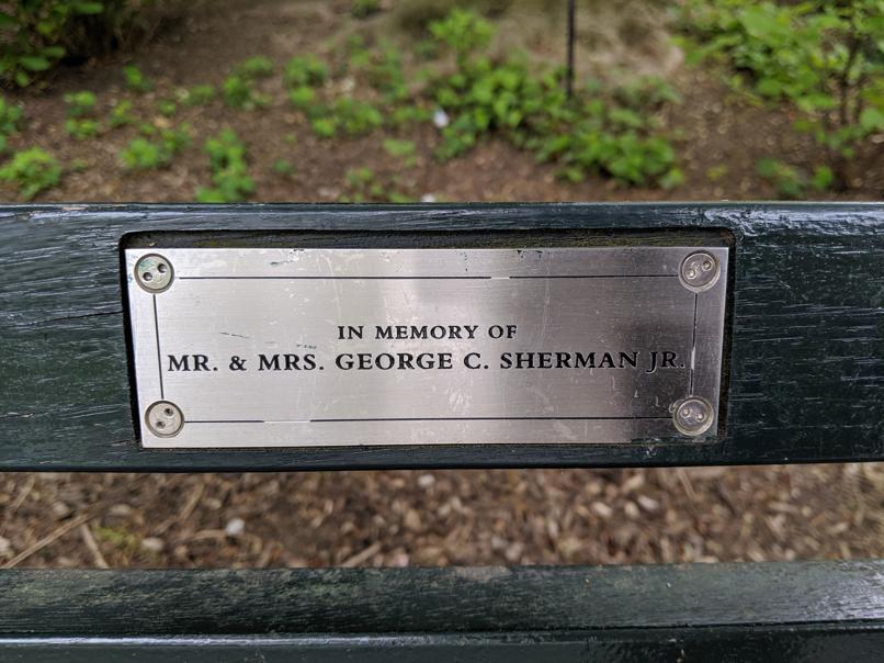 I saw this bench in Central Park