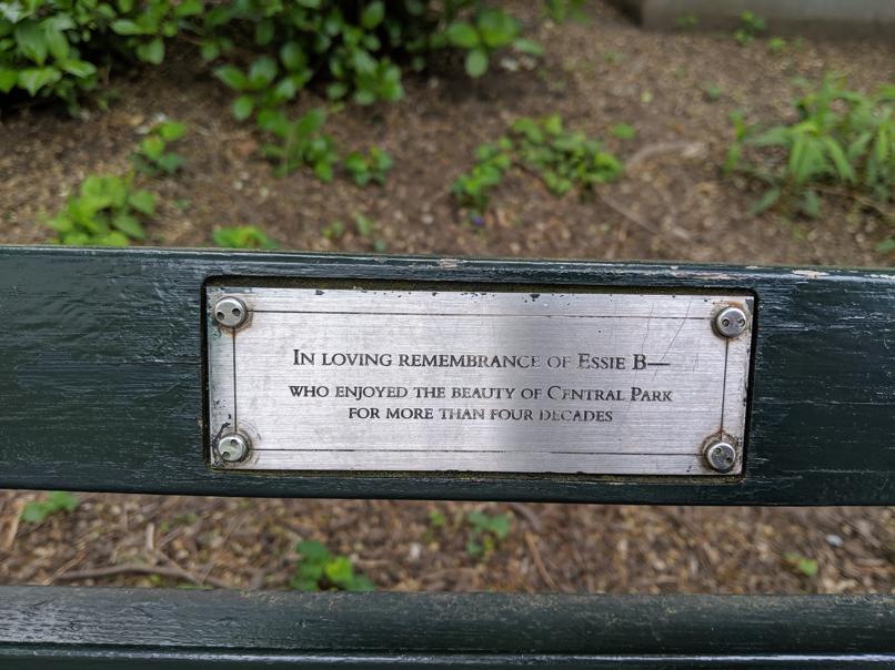 I saw this bench in Central Park