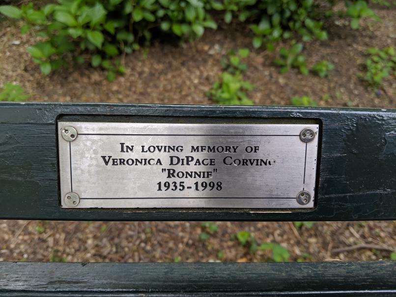 I saw this bench in Central Park