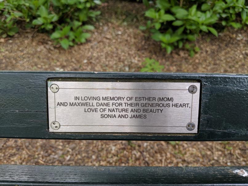 I saw this bench in Central Park