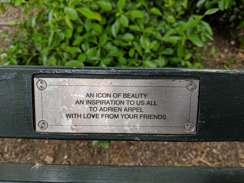 I saw this bench in Central Park