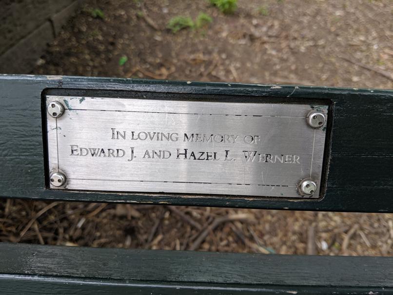 I saw this bench in Central Park