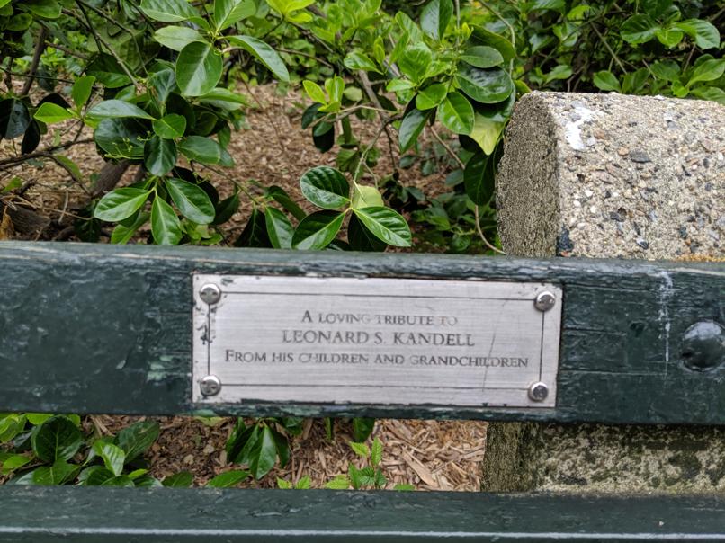 I saw this bench in Central Park