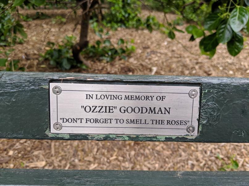 I saw this bench in Central Park